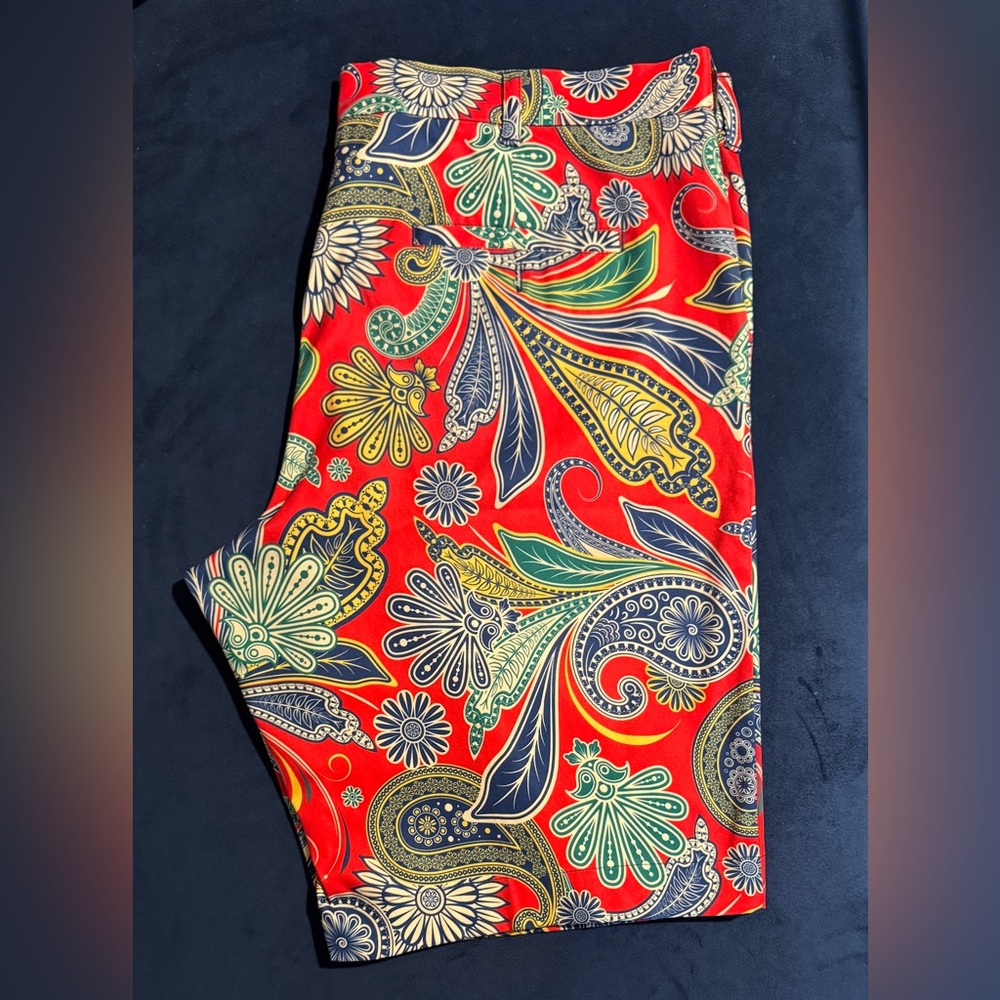 Loudmouth Men’s Golf Shorts Size 40